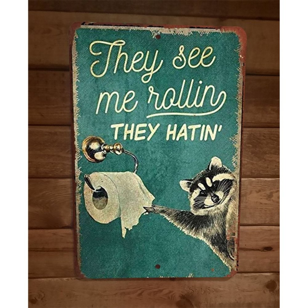 Raccoon They See Me Rollin They Hatin 8x12 Metal Wall Sign Animal Poster
